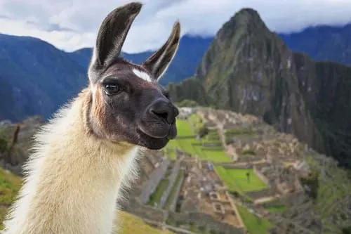 Cusco Sensational