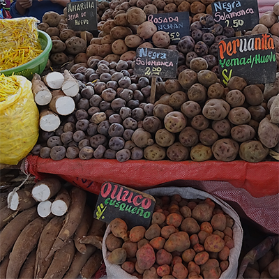 mercado Urubamba - cusco